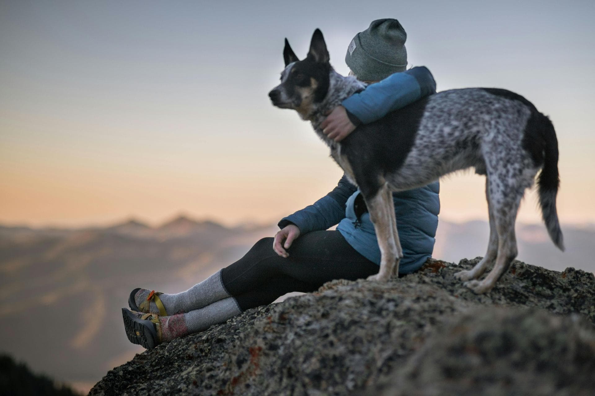 Dog & Cat Vets in Peoria